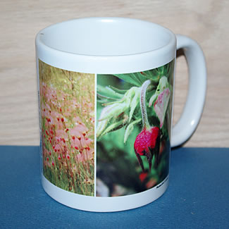 mug DS-068 geum 6760.psd